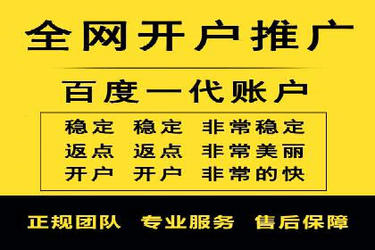 成功SEM竞价托管案例分析报告